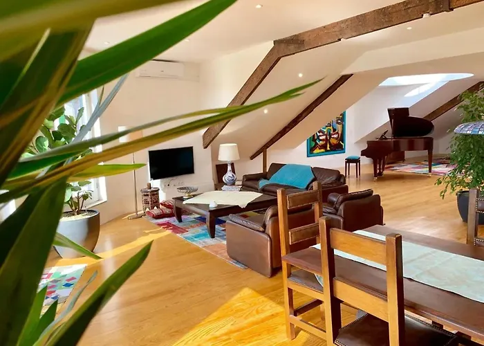 Spacious In With Terrace Apartment