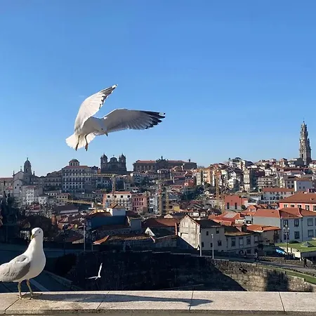 Lägenhet Spacious In With Terrace