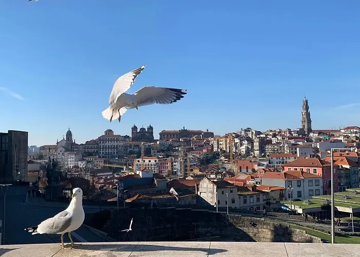 Διαμέρισμα Spacious In With Terrace