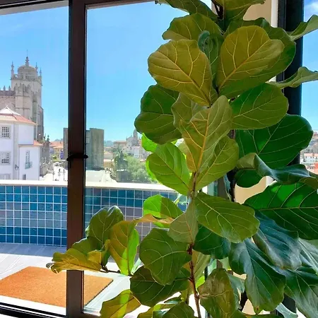 Apartamento Spacious In With Terrace Oporto