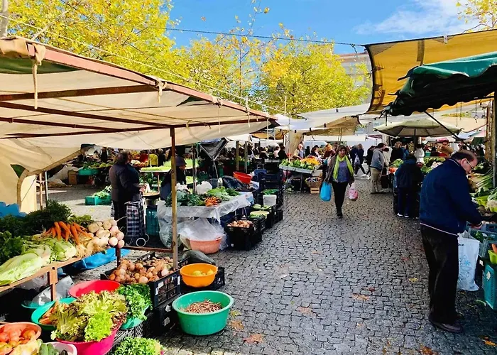 Spacious In With Terrace Apartment Porto